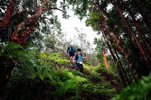 BIB: 
                            <button type="button" onclick="openModal(26201517)" class="btn btn-primary btn-sm float-right btn-popup" data-toggle="modal" data-target=".modal-high-quality">
                        <i class="fas fa-shopping-cart"></i> Add to Cart
                    </button>
                                            <button type="button" onclick="isThisMe(26201517, true)" class="btn btn-success btn-sm float-right btn-popup btn-isme hidden" data-toggle="tooltip" data-placement="bottom" title="นี่คือรูปของคุณใช่ไหม คลิกที่นี่เพื่อเอาเข้าอัลบั้ม">
                        <i class="fas fa-plus"></i> Add to album
                    </button>
                    <button type="button" onclick="isThisMe(26201517, false)" class="btn btn-warning btn-sm float-right btn-popup btn-isnotme hidden">
                        <i class="fas fa-ban"></i> Remove from album
                    </button>